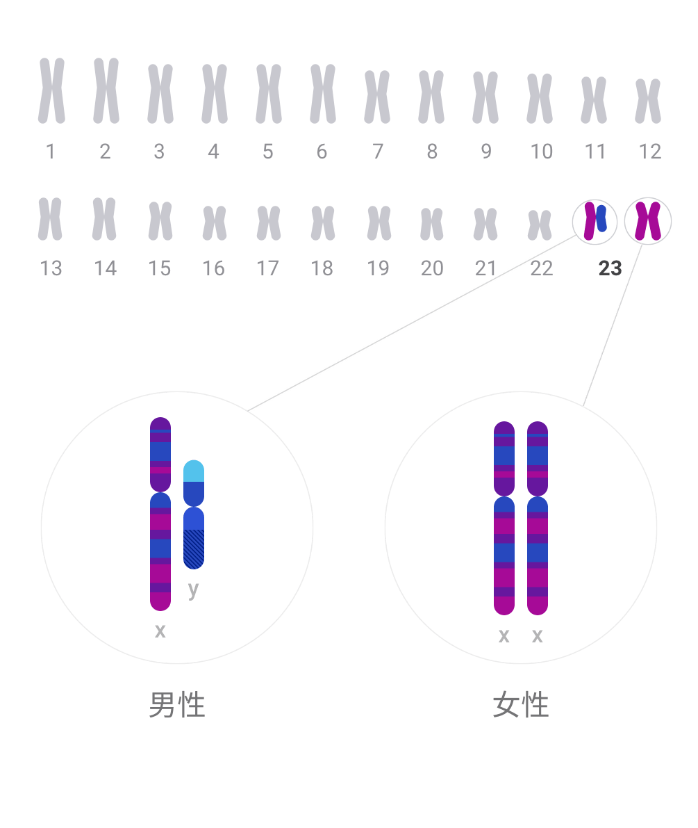 孟德尔遗传定律的意义_孟德尔遗传定律教案范文_生物孟德尔遗传定律