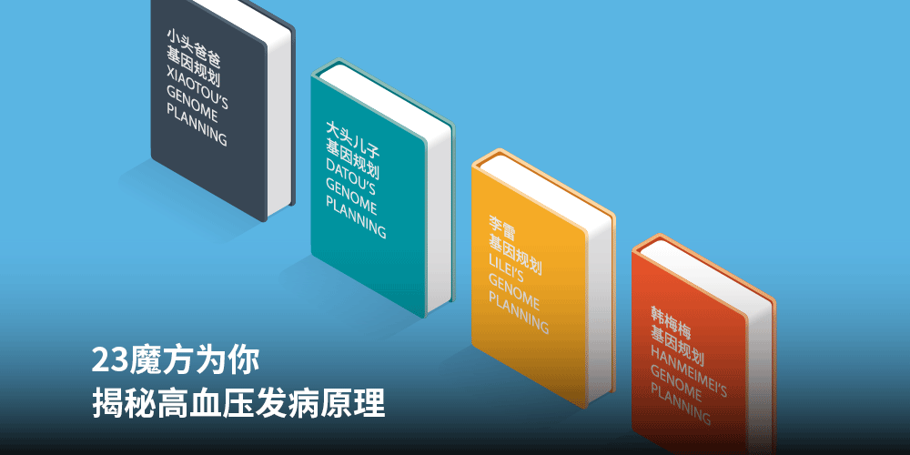 23魔方为你
<br/>揭秘高血压发病原理