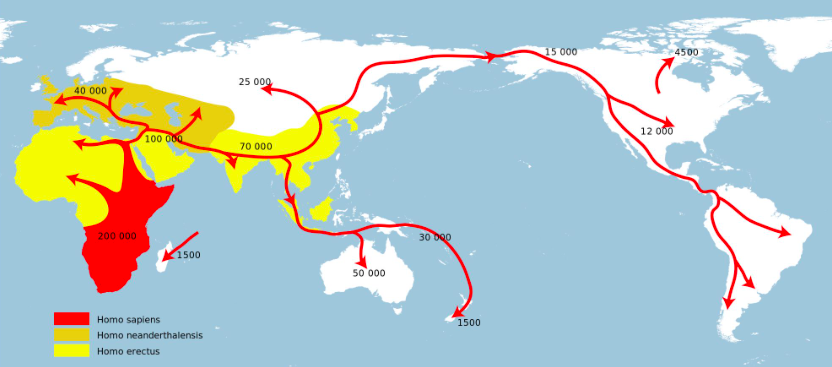 现代人祖源的非洲起源说