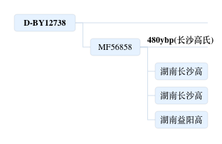sample-2.jpg
