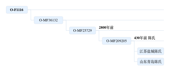 陈盐城.jpg