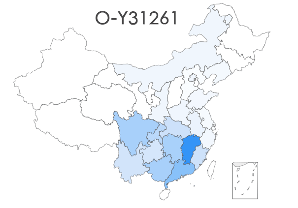 O-Y31261副本.png