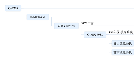 镇原慕.jpg