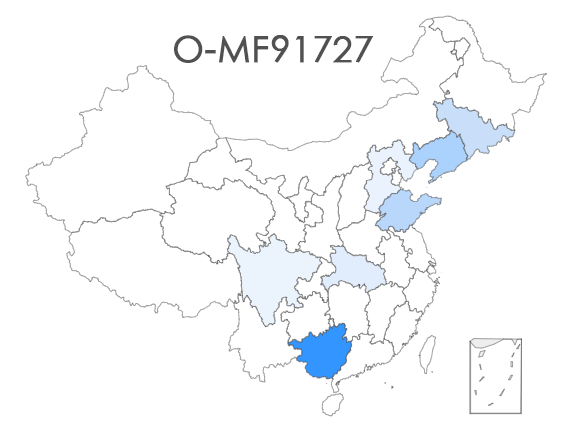 O-MF91727副本.png