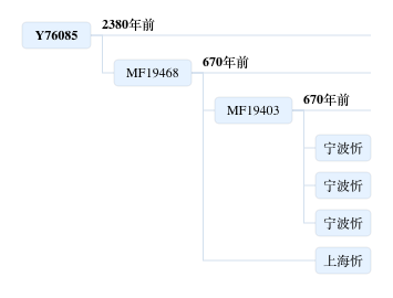 忻.png