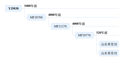 莱芜刘.png