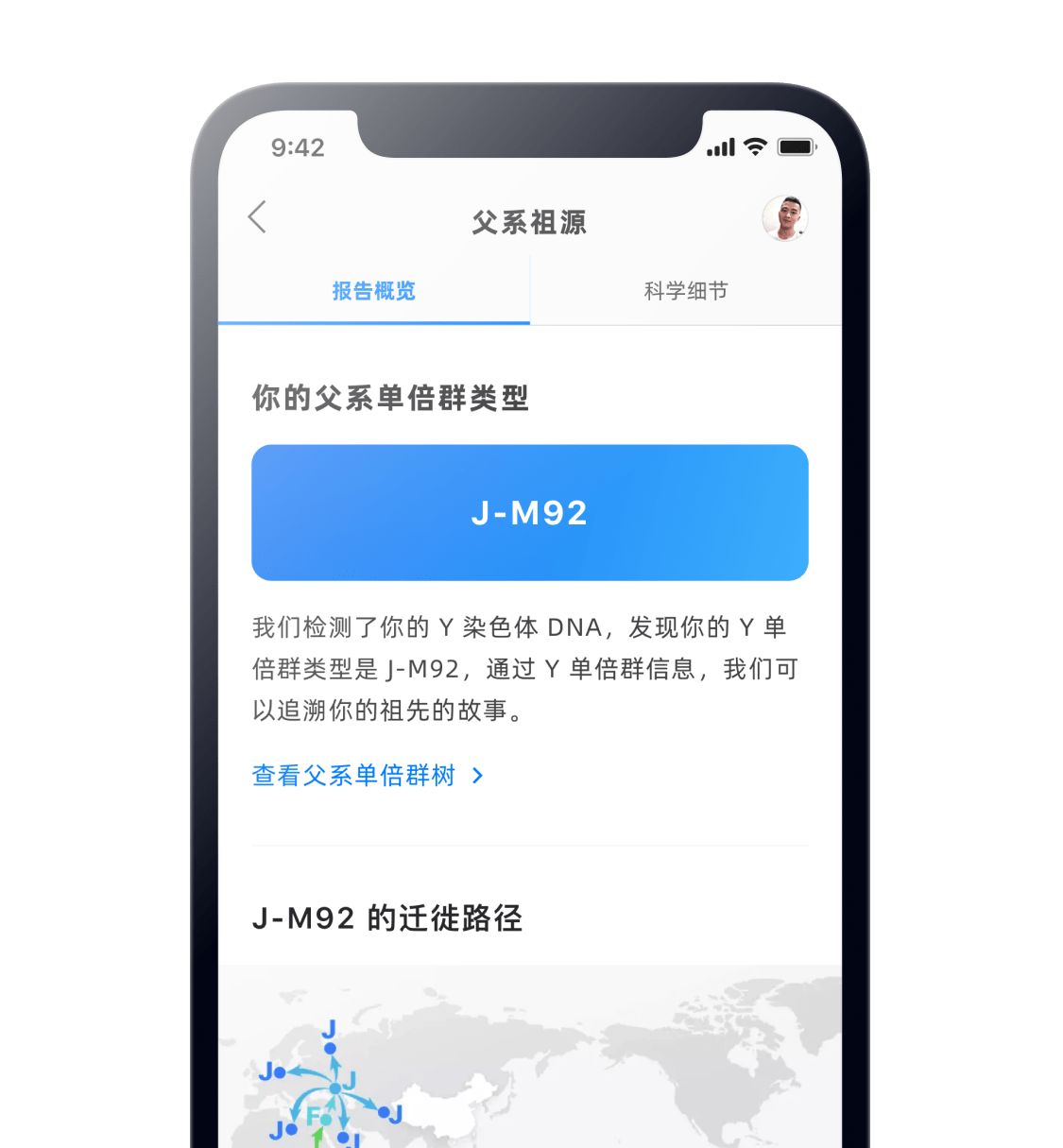 Y 单倍群