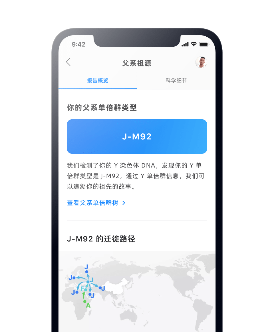 Y 单倍群